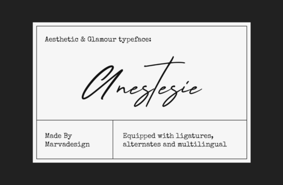 Anestesie: A Script Font for Modern Luxury Branding
